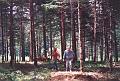Son-in-law Kirk Henderson using a pole pruner